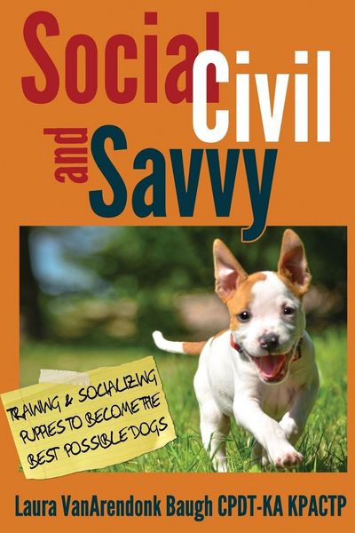 Produktbild: Social, Civil, and Savvy