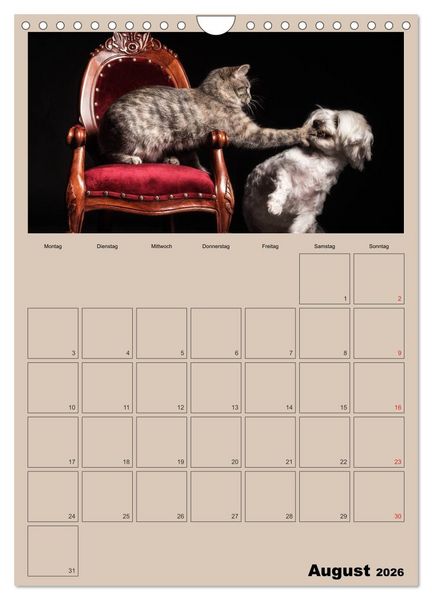 Produktbild: Mit Katzen durchs Jahr / Planer (Wandkalender 2026 DIN A4 hoch), CALVENDO Monatskalender