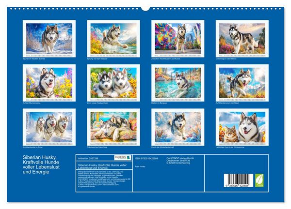 Produktbild: Siberian Husky. Kraftvolle Hunde voller Lebenslust und Energie (hochwertiger Premium Wandkalender 2026 DIN A2 quer), Kunstdruck in Hochglanz