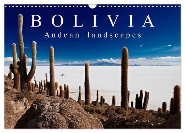 Produktbild: Bolivia Andean landscapes / UK-Version (Wall Calendar 2026 DIN A3 landscape), CALVENDO 12 Month Wall Calendar
