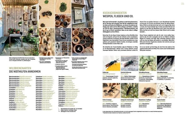 Produktbild: Wildbienenhelfer