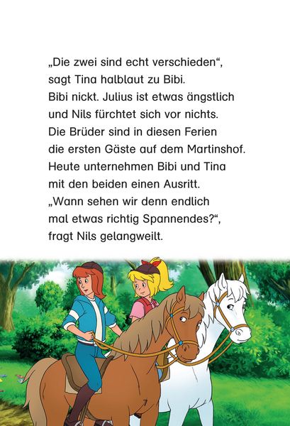 Produktbild: Bibi & Tina: Die Nacht im Baumhaus