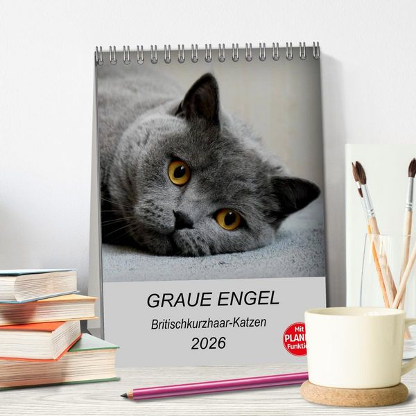 Produktbild: Graue Engel - Britischkurzhaar-Katzen (Tischkalender 2026 DIN A5 hoch), CALVENDO Monatskalender