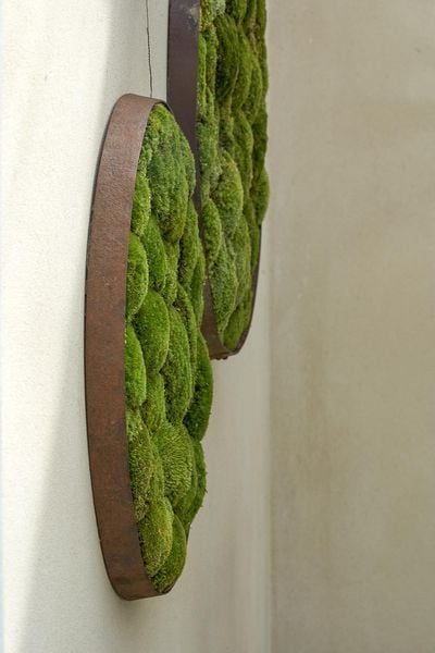 Produktbild: GREEN