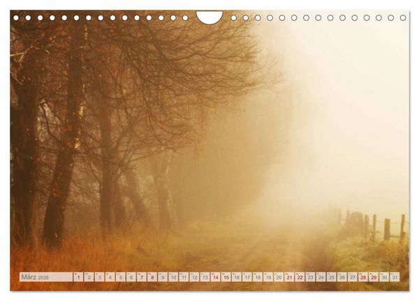 Produktbild: Natur-Paradies Mecklenburgische Schweiz (Wandkalender 2026 DIN A4 quer), CALVENDO Monatskalender