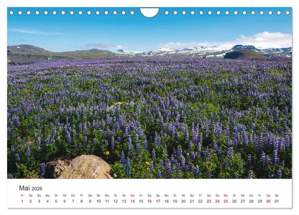 Produktbild: Sommer in Island (Wandkalender 2026 DIN A4 quer), CALVENDO Monatskalender