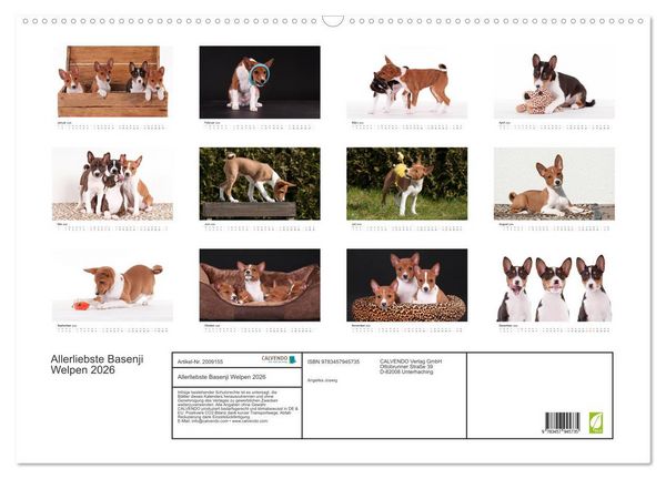 Produktbild: Allerliebste Basenji Welpen 2026 (Wandkalender 2026 DIN A2 quer), CALVENDO Monatskalender