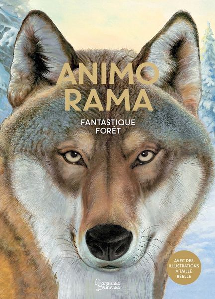 Produktbild: Fantastique for&ecirc;t