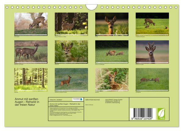 Produktbild: Anmut mit sanften Augen - Rehwild in der freien Natur (Wandkalender 2026 DIN A4 quer), CALVENDO Monatskalender