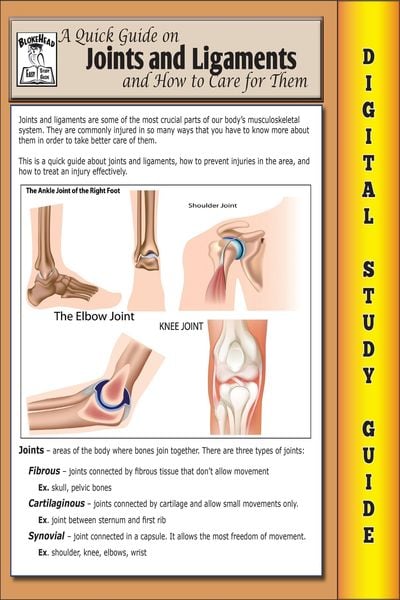 Produktbild: Joints and Ligaments ( Blokehead Easy Study Guide)