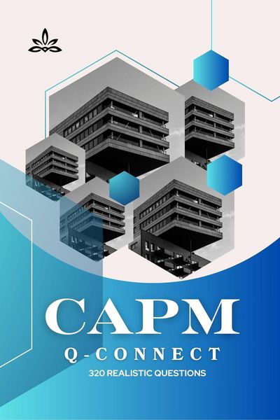 Produktbild: CAPM Q-Connect