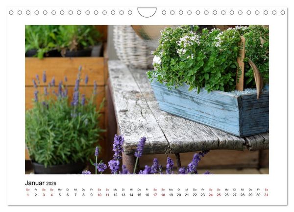 Produktbild: Garten-Idylle 2026 (Wandkalender 2026 DIN A4 quer), CALVENDO Monatskalender