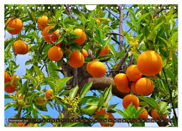 Produktbild: Costa del Azahar - K&uuml;ste der Orangenbl&uuml;te (Wandkalender 2026 DIN A4 quer), CALVENDO Monatskalender