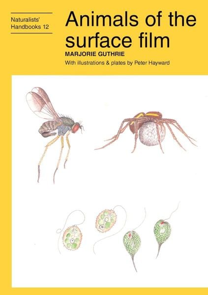 Produktbild: Animals of the surface film