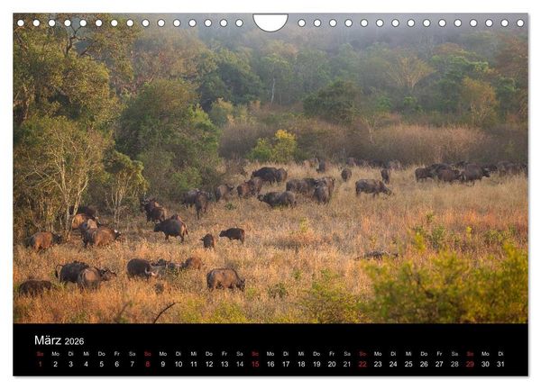 Produktbild: Wundersch&ouml;nes S&uuml;dafrika (Wandkalender 2026 DIN A4 quer), CALVENDO Monatskalender