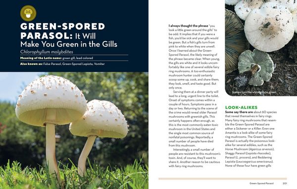 Produktbild: How to Forage for Mushrooms Without Dying