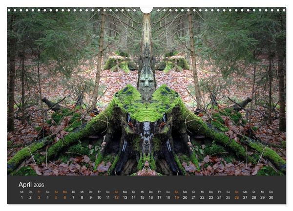 Produktbild: Spiegelwelten - Im Reich der Naturwesen (Wandkalender 2026 DIN A3 quer), CALVENDO Monatskalender