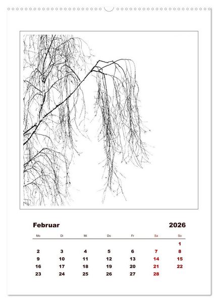 Produktbild: LignoGrafica - Muster und Strukturen der B&auml;ume (Wandkalender 2026 DIN A2 hoch), CALVENDO Monatskalender