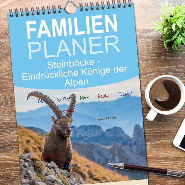 Produktbild: Familienplaner 2026 - Steinb&ouml;cke - Eindr&uuml;ckliche K&ouml;nige der Alpen mit 5 Spalten (Wandkalender, 21 x 45 cm) CALVENDO