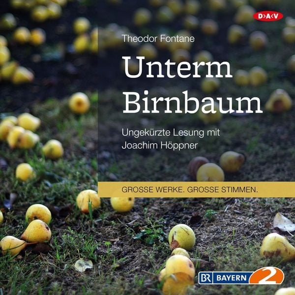 Unterm Birnbaum - Theodor Fontane, Audio, 4057664020895