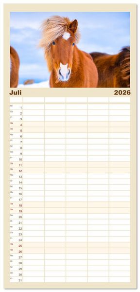 Produktbild: Familienplaner 2026 - Islandpferde - Die s&uuml;&szlig;en Pferde im Norden. mit 5 Spalten (Wandkalender, 21 x 45 cm) CALVENDO