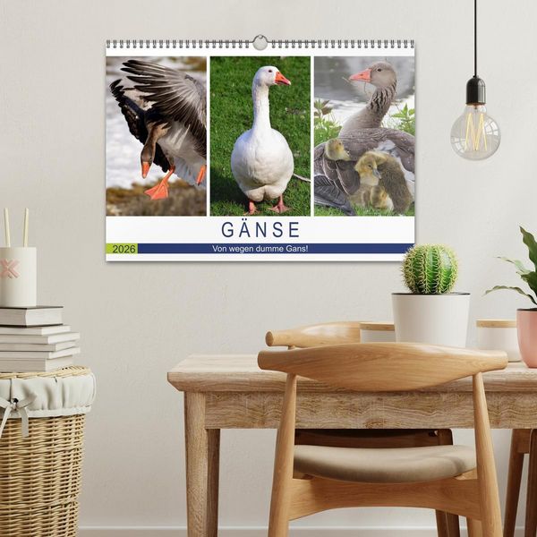Produktbild: G&auml;nse. Von wegen dumme Gans! (Wandkalender 2026 DIN A3 quer), CALVENDO Monatskalender