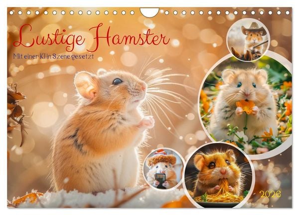 Produktbild: Lustige Hamster (Wandkalender 2026 DIN A4 quer), CALVENDO Monatskalender