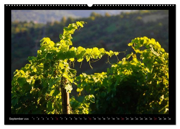 Produktbild: Wein (hochwertiger Premium Wandkalender 2026 DIN A2 quer), Kunstdruck in Hochglanz