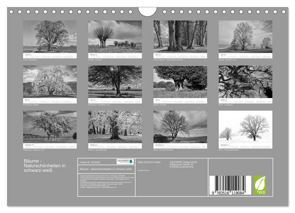 Produktbild: B&auml;ume - Natursch&ouml;nheiten in schwarz-wei&szlig; (Wandkalender 2026 DIN A4 quer), CALVENDO Monatskalender