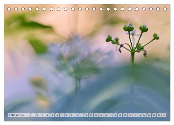 Produktbild: Wenn Bl&uuml;ten tr&auml;umen tanzt das Licht (Tischkalender 2026 DIN A5 quer), CALVENDO Monatskalender