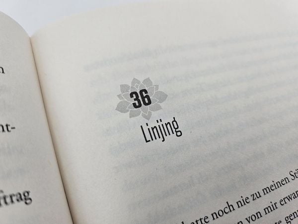 Produktbild: Die Lotosschuhe