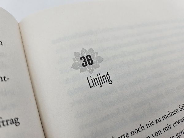Produktbild: Die Lotosschuhe