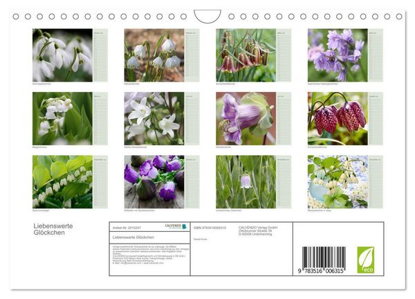 Produktbild: Liebenswerte Gl&ouml;ckchen (Wandkalender 2026 DIN A4 quer), CALVENDO Monatskalender