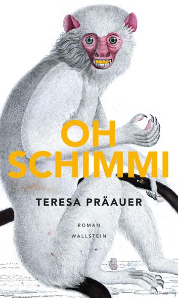 Produktbild: Oh Schimmi