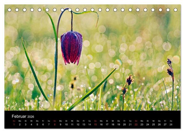 Produktbild: Wilde Bl&uuml;ten-Tr&auml;ume (Tischkalender 2026 DIN A5 quer), CALVENDO Monatskalender