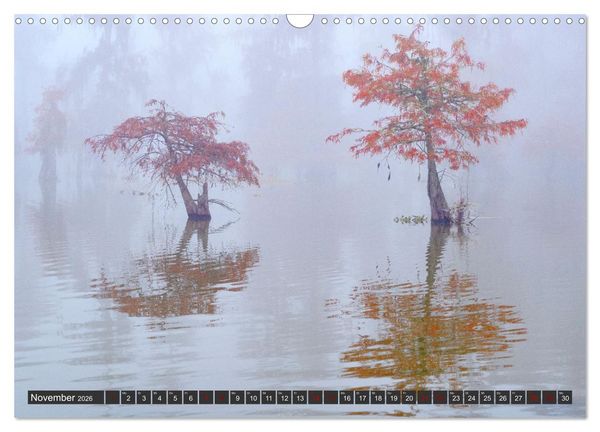 Produktbild: Natur Paradies Mississippi Delta (Wandkalender 2026 DIN A3 quer), CALVENDO Monatskalender
