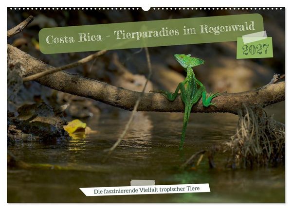 Produktbild: Costa Rica - Tierparadies im Regenwald (Wandkalender 2027 DIN A2 quer), CALVENDO Monatskalender