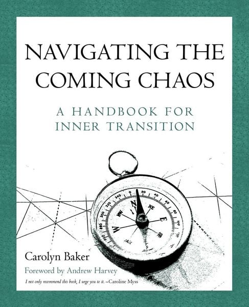 Produktbild: Navigating The Coming Chaos