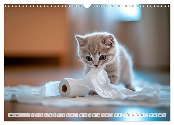 Produktbild: Kleine K&auml;tzchen - Ein Jahr voller Samtpfotenzauber (Wandkalender 2027 DIN A3 quer), CALVENDO Monatskalender