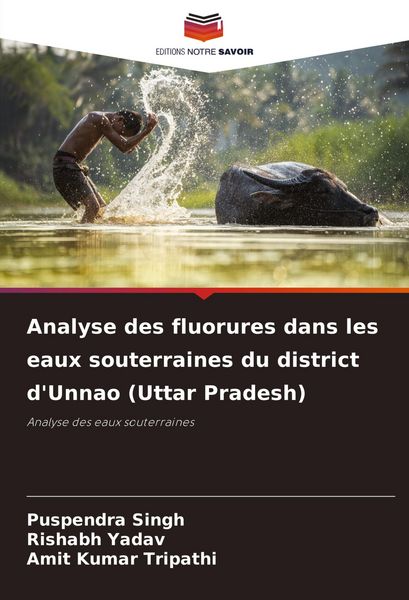 Produktbild: Analyse des fluorures dans les eaux souterraines du district d'Unnao (Uttar Pradesh)