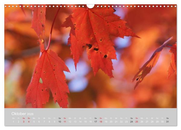 Produktbild: Indian Summer in New England (Wandkalender 2026 DIN A3 quer), CALVENDO Monatskalender