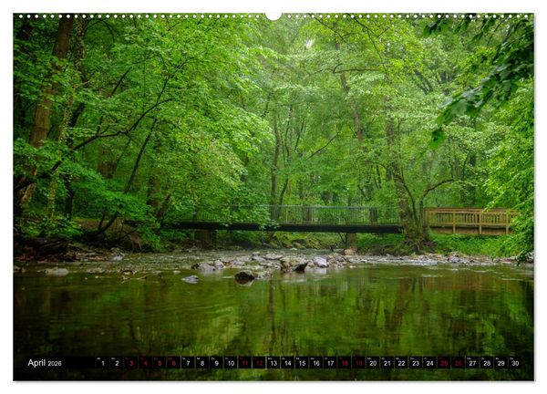 Produktbild: Wege des einfachen Gl&uuml;cks - Spazierg&auml;nge im Wald (Wandkalender 2026 DIN A2 quer), CALVENDO Monatskalender