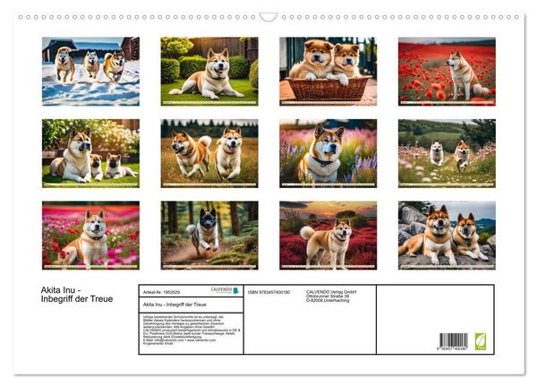Produktbild: Akita Inu - Inbegriff der Treue (Wandkalender 2026 DIN A2 quer), CALVENDO Monatskalender