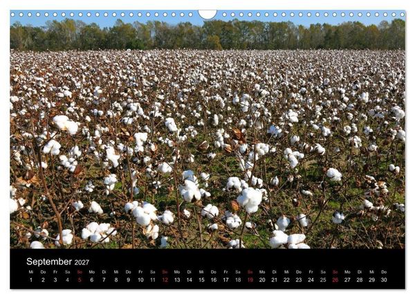 Produktbild: S&uuml;dosten der USA (Wandkalender 2027 DIN A3 quer), CALVENDO Monatskalender