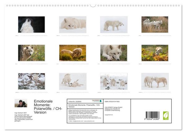Produktbild: Emotionale Momente: Polarw&ouml;lfe. / CH-Version (hochwertiger Premium Wandkalender 2026 DIN A2 quer), Kunstdruck in Hochglanz