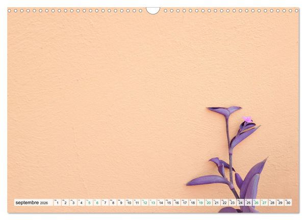 Produktbild: Burano et Minimalisme (Calendrier mural 2026 DIN A3 vertical), CALVENDO calendrier mensuel