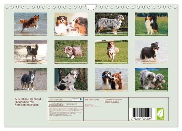 Produktbild: Australian Shepherd - H&uuml;tehunde mit Familienanschluss (Wandkalender 2027 DIN A4 quer), CALVENDO Monatskalender