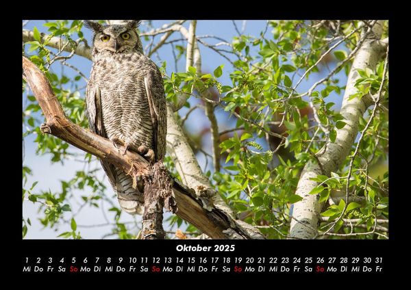 Produktbild: B&auml;ume 2025 Fotokalender DIN A3