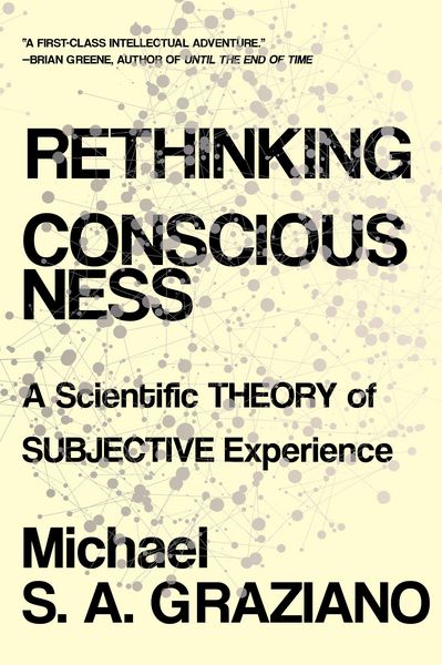 Produktbild: Rethinking Consciousness