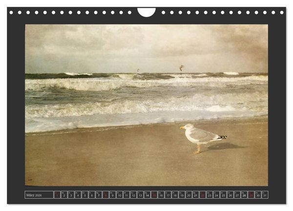 Produktbild: Malerisches Sylt (Wandkalender 2026 DIN A4 quer), CALVENDO Monatskalender